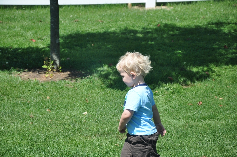 William 201107 150.jpg